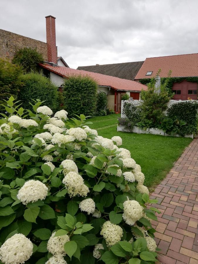Blick Zu Den Sternen Apartment Hohenbruck